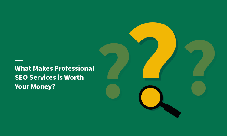 What Makes Professional SEO Services is Worth Your Money?