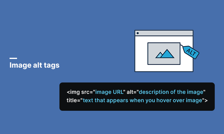 Optimize Image Alt Tags to Solidify SEO