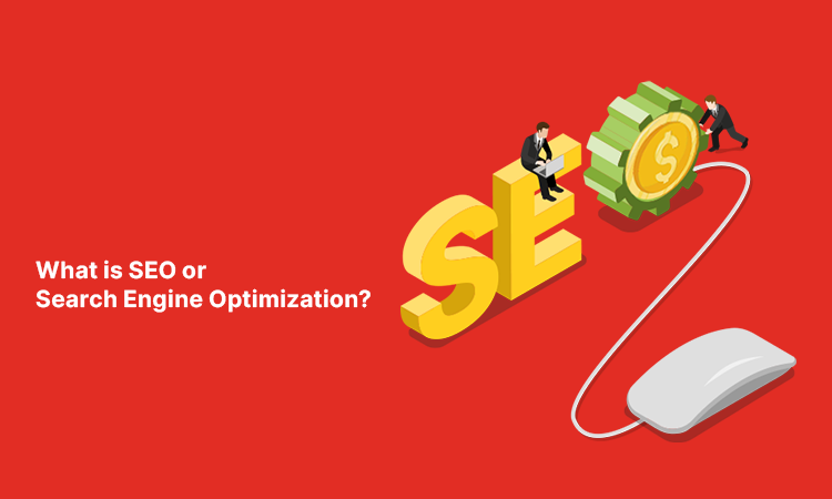 What is Seo