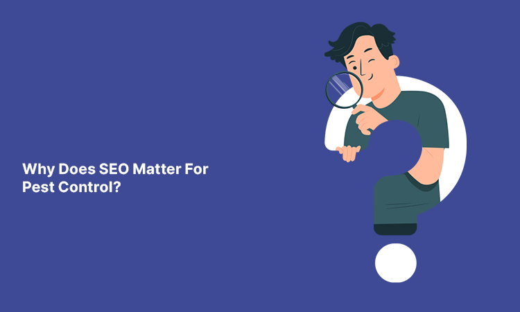 Why Does SEO Matter for Pest Control?