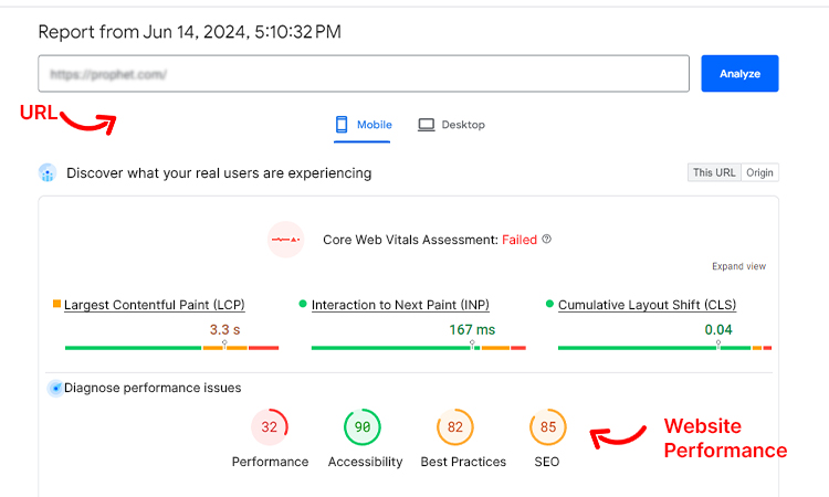 Conduct Website Audit