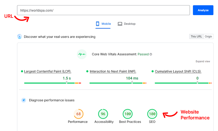 Run website audit