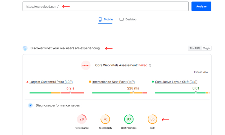 Conduct Technical SEO Optimization