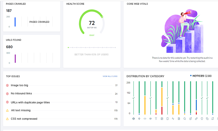 Conducting a Comprehensive Site Audit